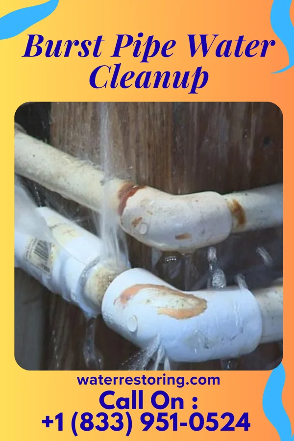 Burst Pipe Water Cleanup in Greenview, WV