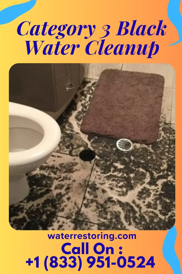 Category 3 Black Water Cleanup in Greenview, WV