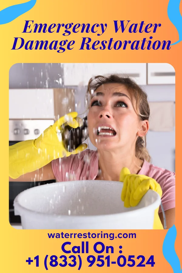 Emergency Water Damage Restoration in Greenview, WV