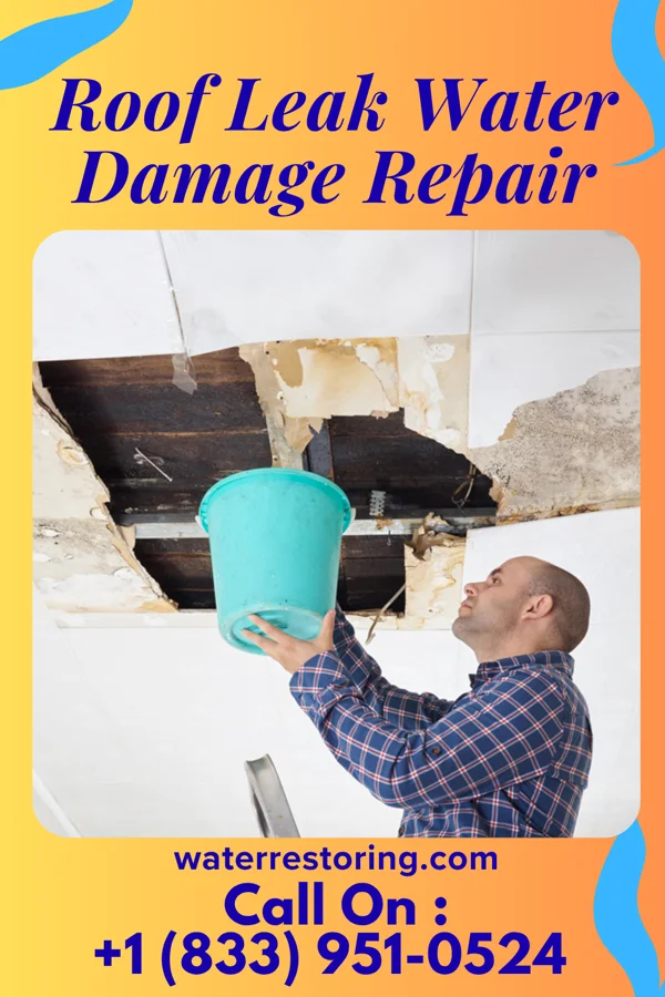 Roof Leak Water Damage Repair in Greenview, WV