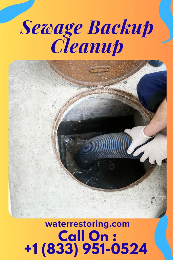 Sewage Backup Cleanup in Greenview, WV