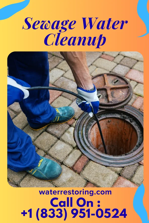 Sewage Water Cleanup in Greenview, WV