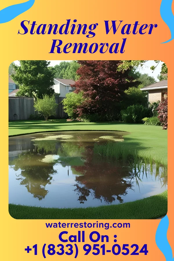 Standing Water Removal in Greenview, WV